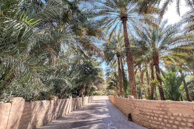 Al Ain City Tour With Natural Oasis, Museum & Zoo Entry Ticket - Explore Al Ain Oasis