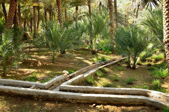 Al Ain City Tour With Natural Oasis, Museum & Zoo Entry Ticket - Visit Al Ain Zoo