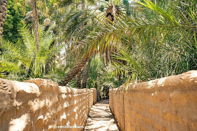 Al Ain Full Day Trip From Abu Dhabi With Lunch - Lunch at a 4-Star Hotel