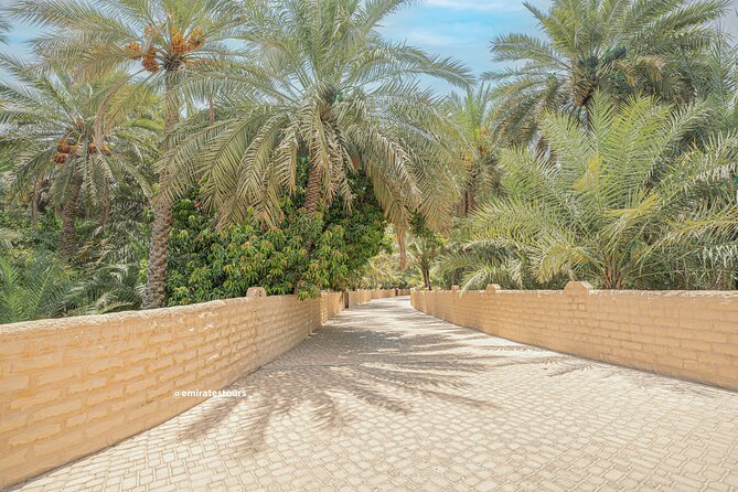 Al Ain Full Day Trip From Abu Dhabi With Lunch - Tour Details and Reviews