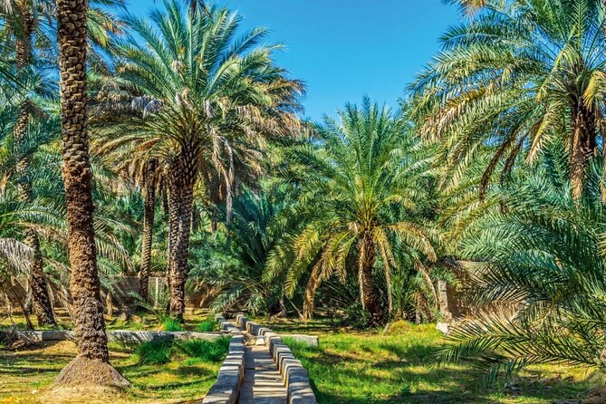 Al Ain Oasis Tour With Pickup and Drop off - Inclusions