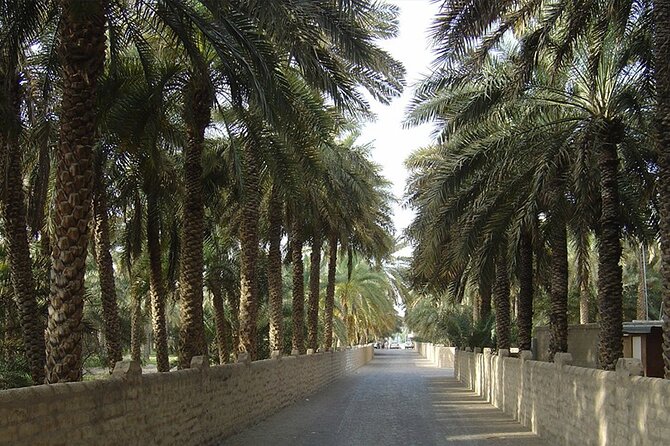 Al Ain Oasis Tour With Pickup and Drop off - Pickup and Timing