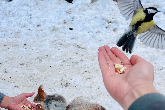 Ala Archa Nature Park and City Tour With Kyrgyz Lunch - Pickup and Start Time