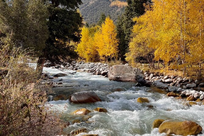 Ala Archa Nature Park and City Tour With Kyrgyz Lunch - Accessibility and Participation