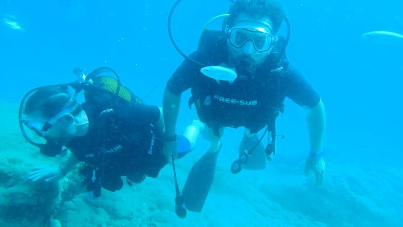Alanya: 2 Guided Scuba Dives With Lunch and Hotel Transfers - Diving in Alanya Harbor