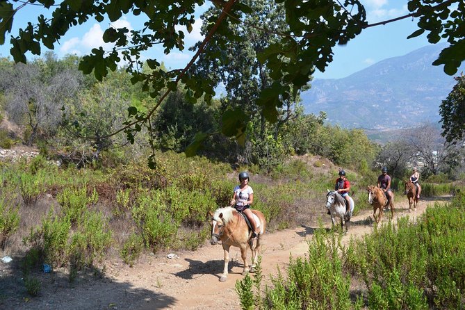 Alanya 3 Hour Horse Back Riding - Pickup and Drop-off Arrangements