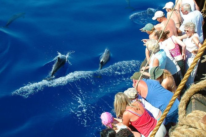 Alanya Boat Trip With Unlimited Soft Drinks and Lunch - Highlights of the Boat Tour