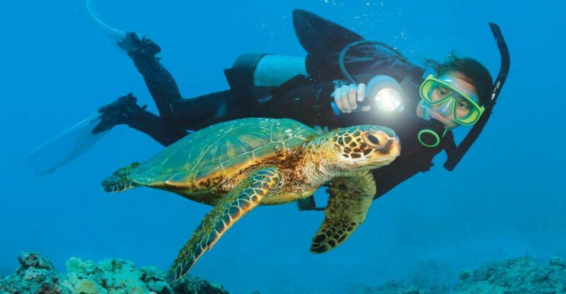 Alanya: Discover Scuba Diving Scuba Tour for Beginners - Inclusions and Requirements