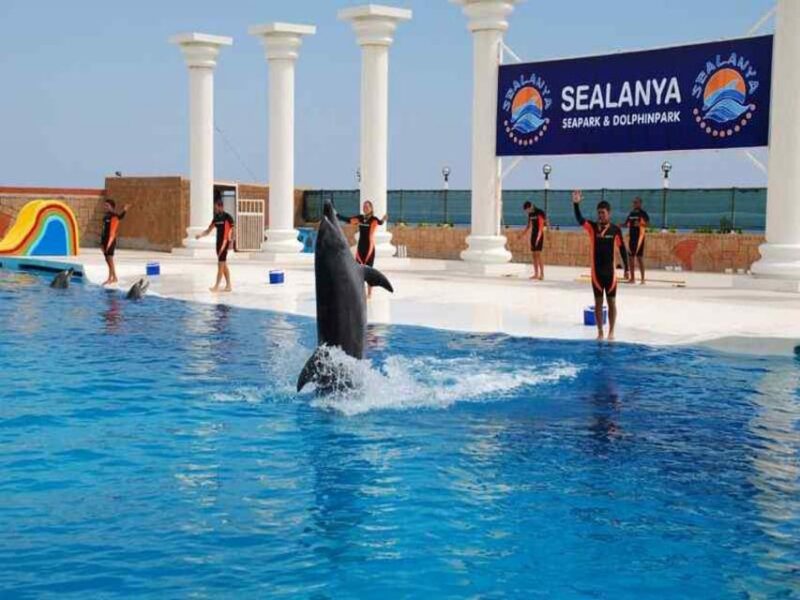 Alanya: Dolphin and Sea Lion Show at Sealanya Dolphin Park - Ticket Prices