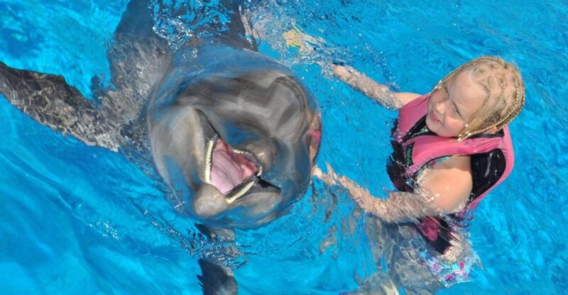 Alanya: Dolphin and Seal Show Ticket With Hotel Transfers - Key Points