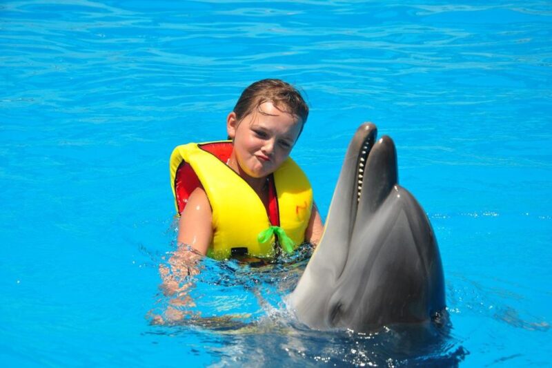 Alanya: Dolphin and Seal Show Ticket With Hotel Transfers - Customer Reviews Summary