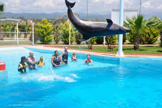 Alanya: Dolphin and Seal Show Ticket With Hotel Transfers - Photo Opportunities
