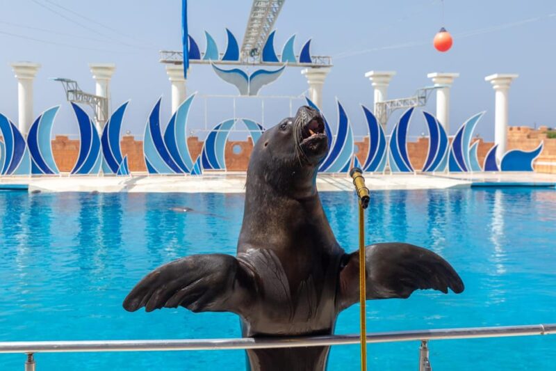 Alanya: Dolphin Park Transfers Service From All Locations - Important Information