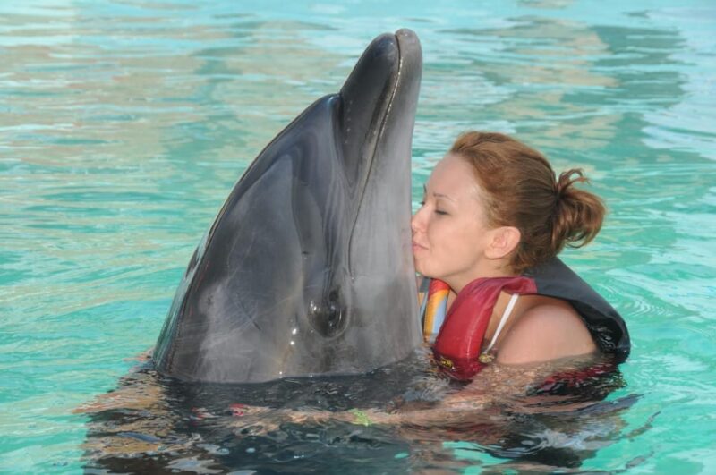 Alanya: Dolphin Park Transfers Service From All Locations - Pickup and Dropoff