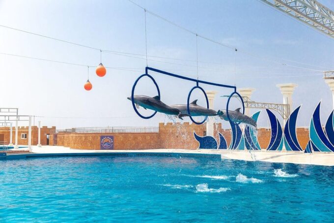 Alanya: Dolphin Park Transfers Service From All Locations - Additional Activities