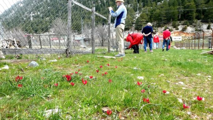 Alanya Hiking Tour - Interacting With Locals