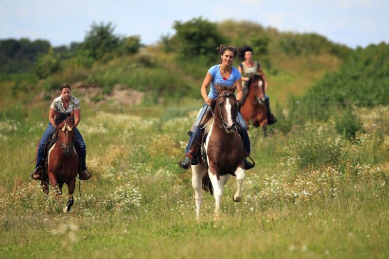 Alanya: Horse Riding Adventure - Booking and Cancellation Details