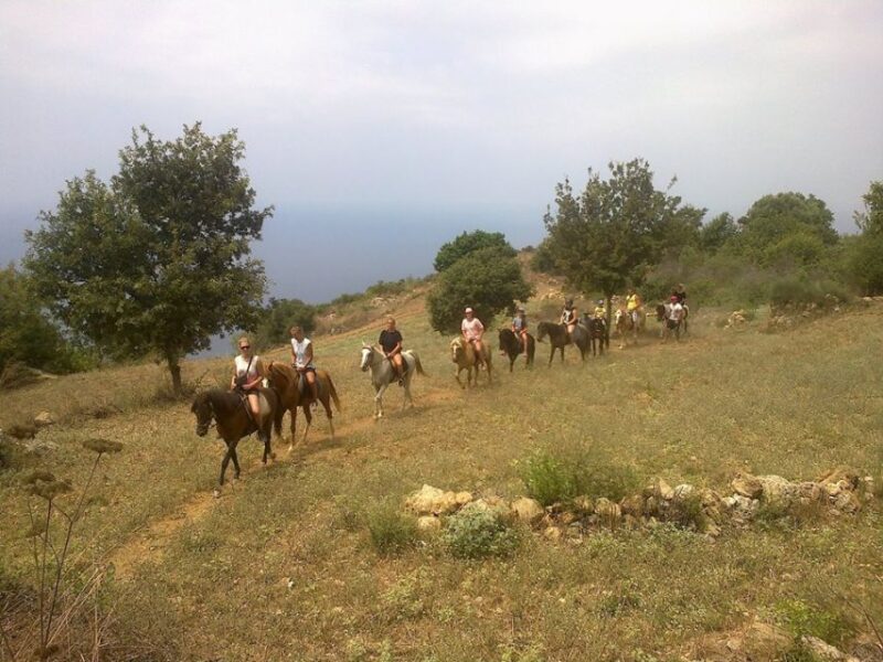 Alanya: Horse Riding Adventure - Exploring the Turkish Countryside