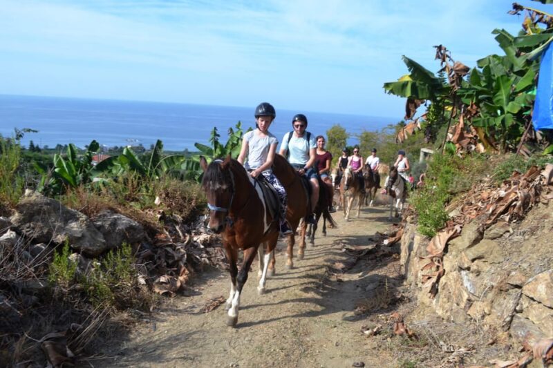 Alanya: Horse Riding Club Transfer Service - Location and Surroundings