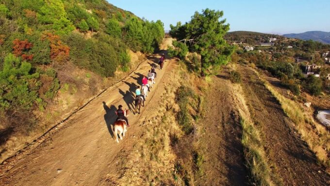 Alanya: Horse Riding Club Transfer Service - Frequently Asked Questions