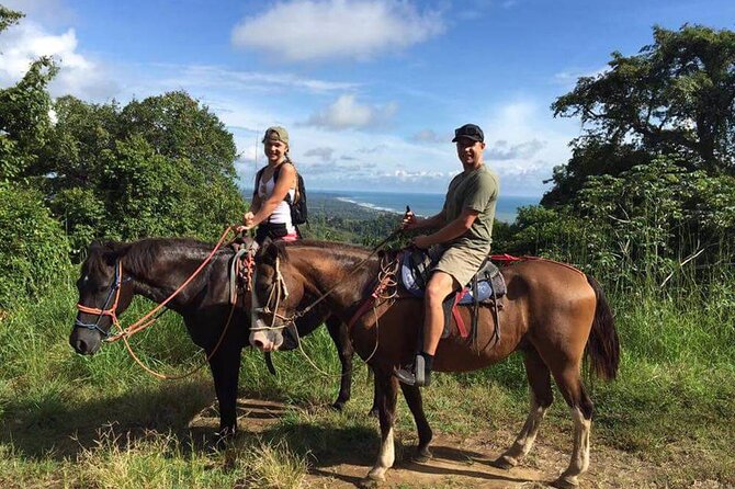 Alanya Horse Riding Experience With Free Hotel Transfer - About Your Stay