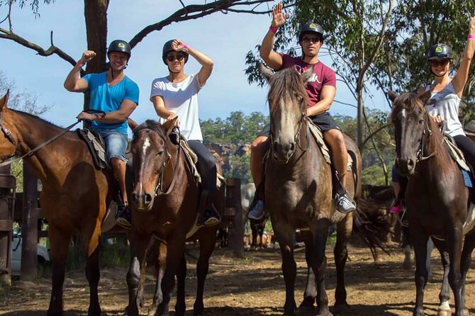 Alanya Horse Riding Experience With Free Hotel Transfer - Pickup and Transfer Information