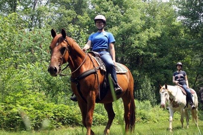 Alanya Horse Riding Experience With Free Hotel Transfer - Duration and Group Size