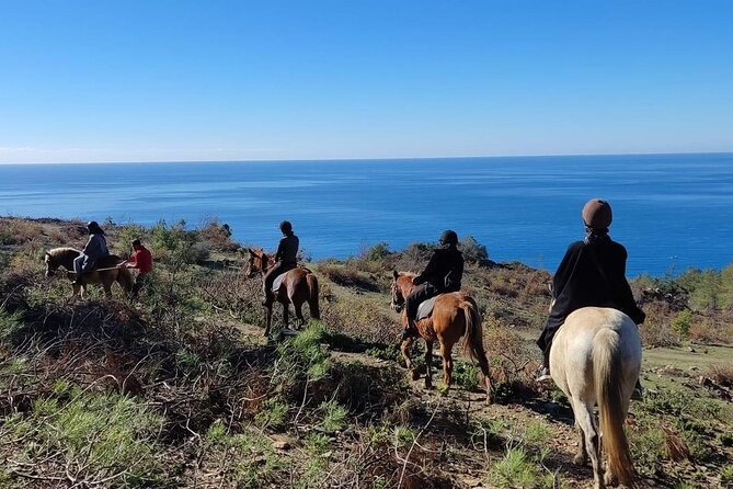 Alanya Horseback Riding in the Taurus Mountains With Transfer - Health and Safety Considerations