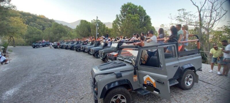 Alanya: Night Safari Combo Tour With Diner & Belly Dancer - Key Points