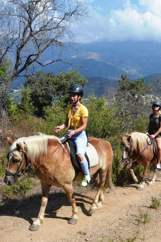 Alanya: Private Horse Safari - Experience Highlights