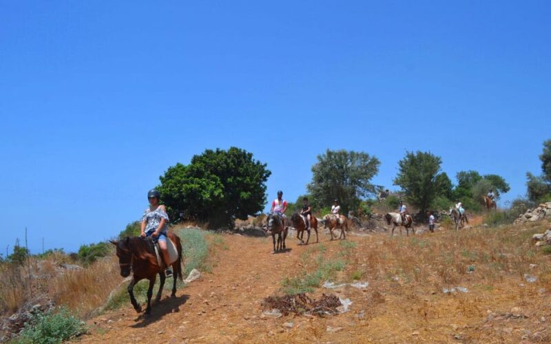 Alanya: Private Horse Safari - Tour Details