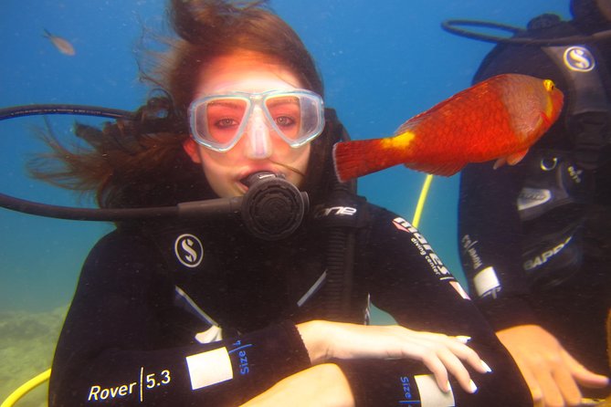 Alanya: Scuba Diving Experience for Beginners - Included Amenities and Services