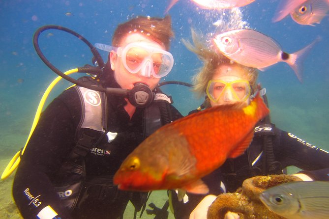Alanya: Scuba Diving Experience for Beginners - Suitability and Accessibility