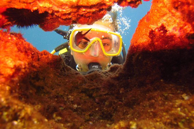 Alanya: Scuba Diving Experience for Beginners - Booking Policies and Flexibility