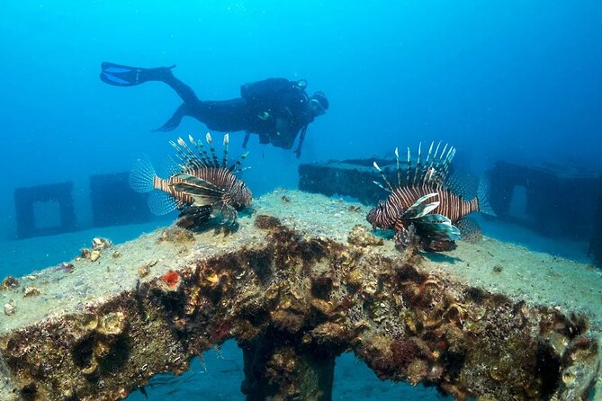 Alanya Scuba Diving Tour - Key Points