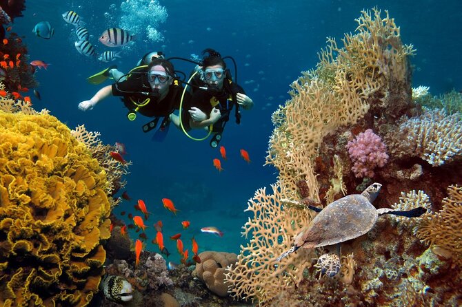 Alanya Scuba Diving Tour - Pickup Arrangements