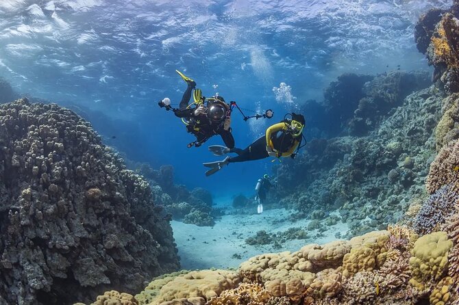 Alanya Scuba Diving Tour - Health and Accessibility