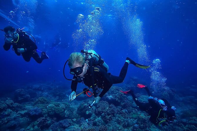 Alanya Scuba Diving Tour - Booking Process