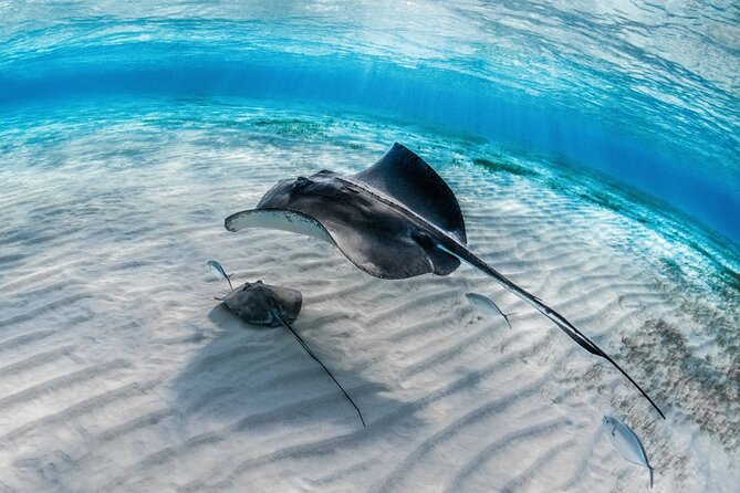 Alanya Scuba Diving Tour - Reasons to Try Scuba Diving