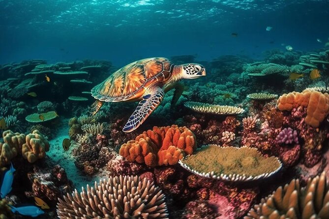 Alanya Scuba Diving Tour - Highlights of the Dive Site