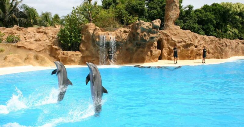 Alanya: Sealanya Dolphinpark Dolphin Show Tour - Key Points