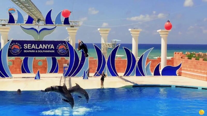 Alanya: Sealanya Dolphinpark Dolphin Show Tour - Show Details