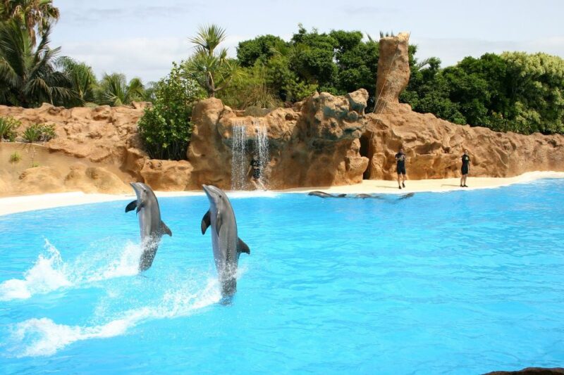 Alanya: Sealanya Dolphinpark Dolphin Show Tour - Participant Information