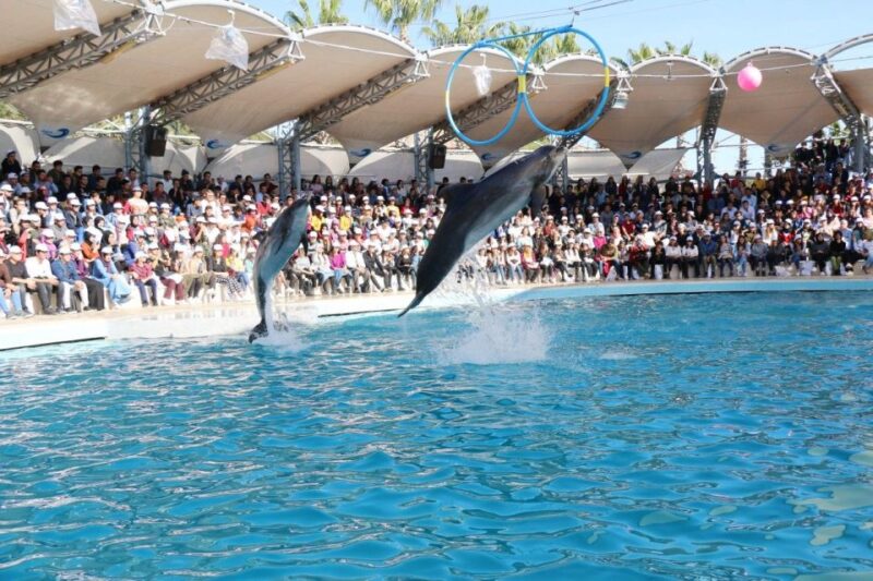 Alanya: Sealanya Dolphinpark Dolphin Show Tour - Customer Feedback