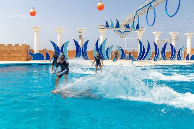 Alanya: Sealanya Dolphinpark Dolphin Show Tour - Location and Logistics