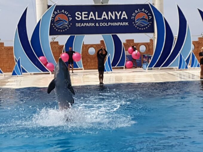 Alanya: Sealanya Dolphinpark Dolphin Show Tour - Tour Highlights