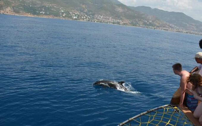Alanya:Catamaran Tour With Lunch&Soft Drinks Animation Shows - Transportation and Pickup