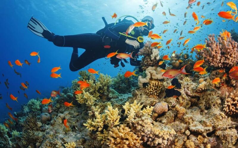 Alanya:Scuba Diving Boat Trip With Lunch and Transfer - Scuba Diving Experience