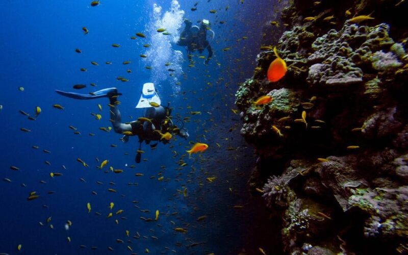 Alanya:Scuba Diving Boat Trip With Lunch and Transfer - Frequently Asked Questions