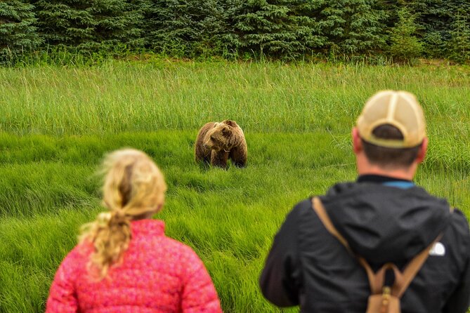 Alaska Bear Viewing Adventure From Seward - Transportation and Logistics